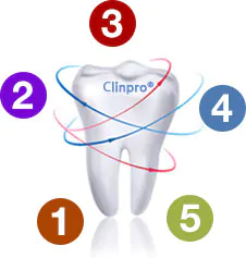 5 этапов чистки зубов Clinpro